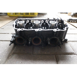 Głowica Prawa 2018+