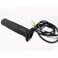 copy of Manetka grzana Prawa