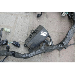 Wiązka elektryczna Europa 2020r