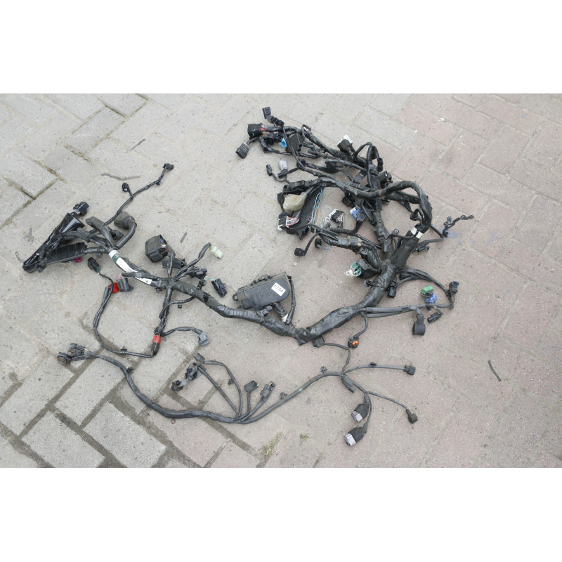 Wiązka elektryczna Europa 2020r