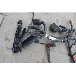 Wiązka elektryczna Europa 2020r