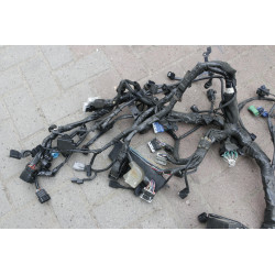 Wiązka elektryczna Europa 2020r