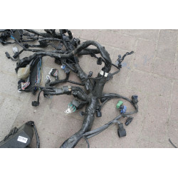 Wiązka elektryczna Europa 2020r