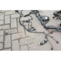 Wiązka elektryczna Europa 2020r