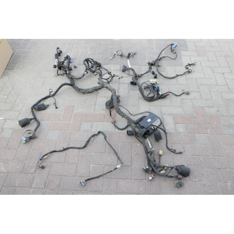 Wiązka 62 elektryczna 2001