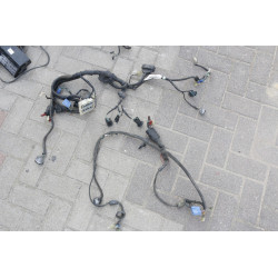 Wiązka 62 elektryczna 2001