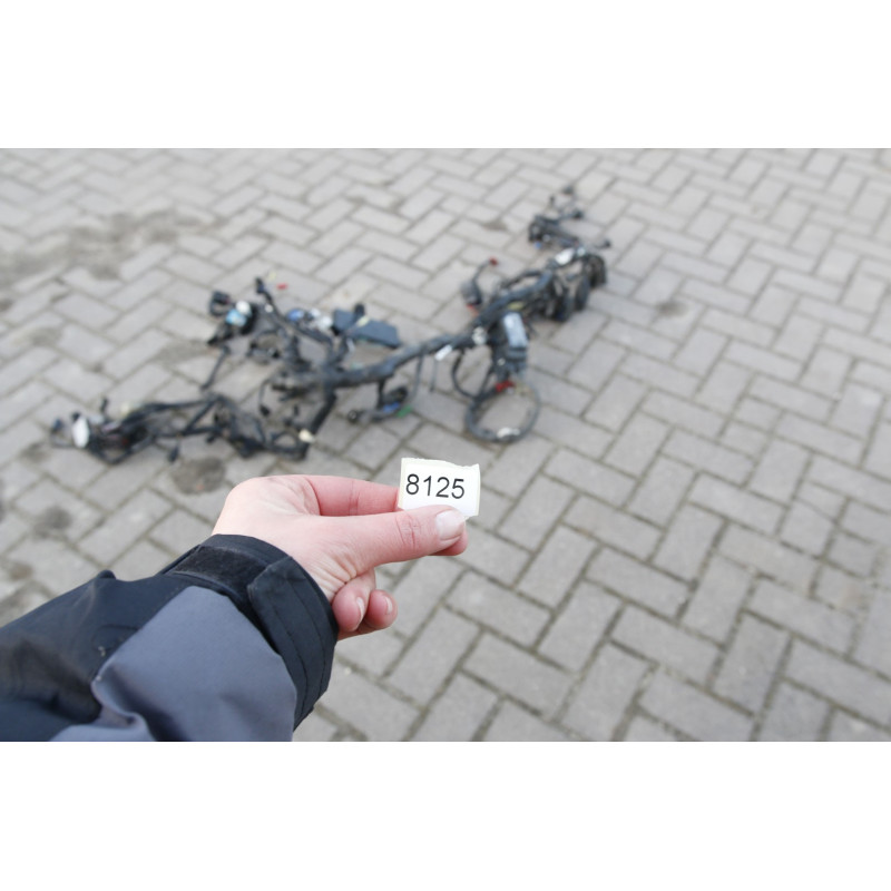 Wiązka elektryczna kompletna 2019r. Bagger manual